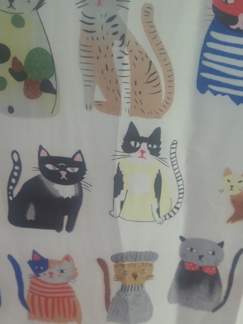 Playful Multi-Color Cat Print Scarf Wrap - Cream Base. 36 X 72 - Picture 7 of 10